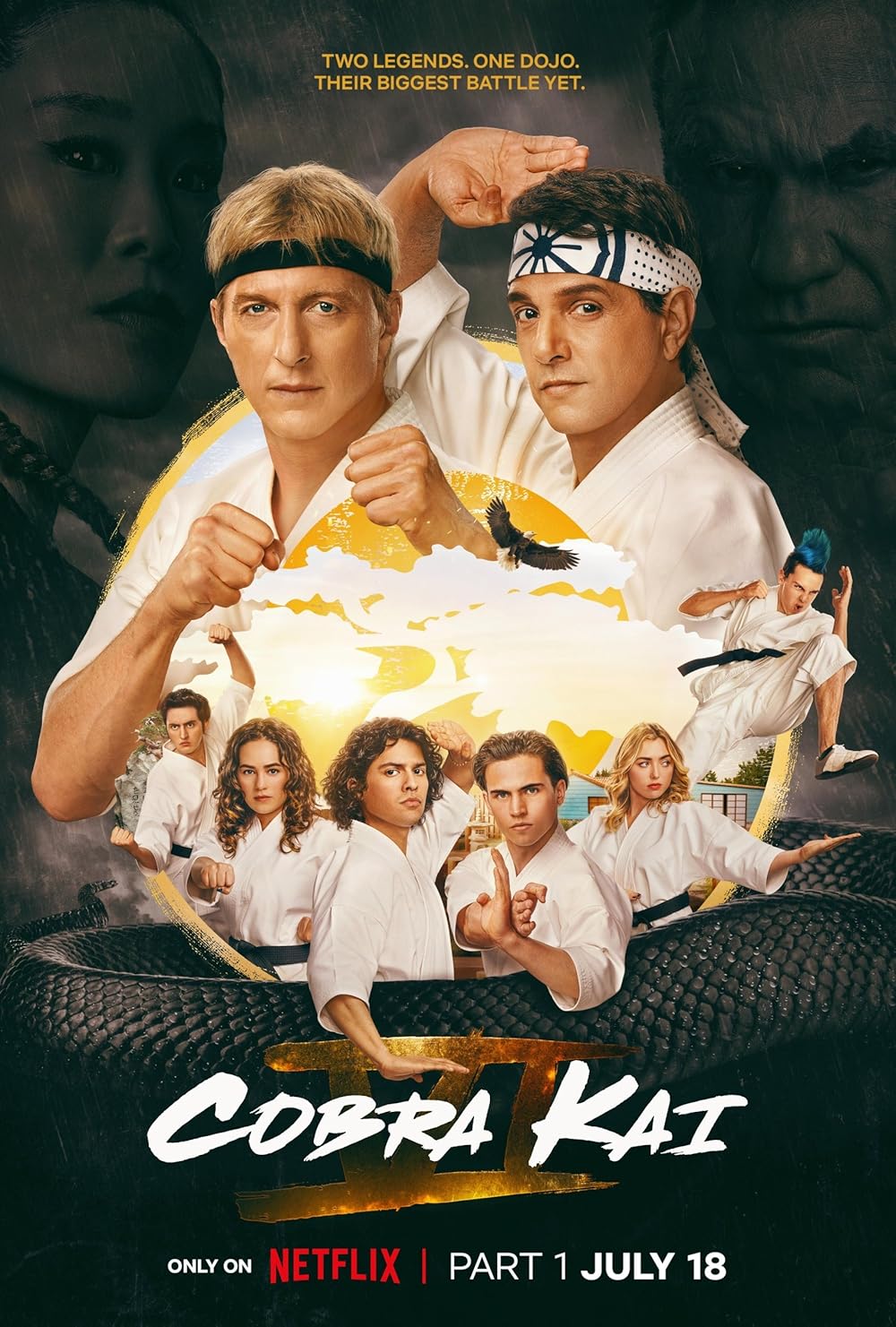 Cobra Kai TV show poster